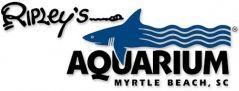 Ripley's Aquarium